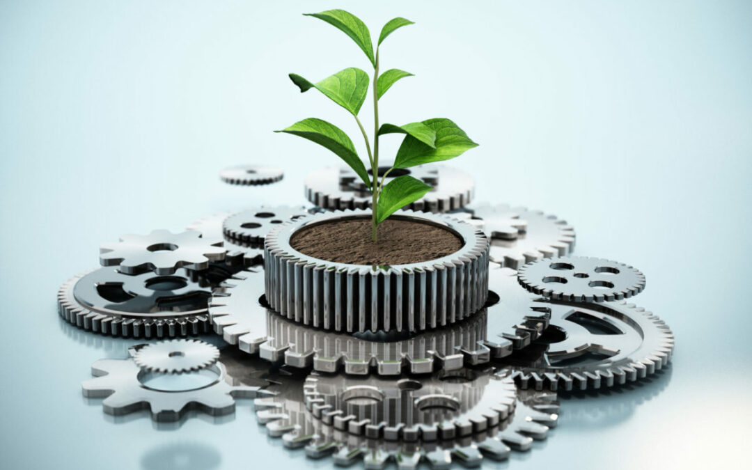 Supply Chain Sustainability: The Business Case for Growth and a Competitive Advantage